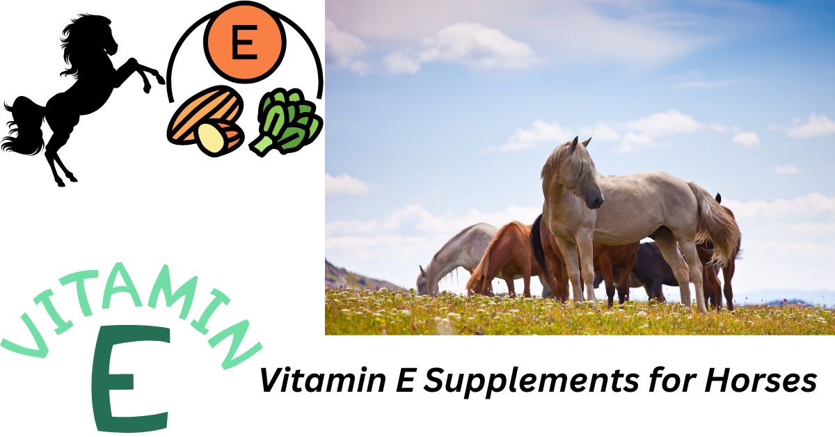 Vitamin E Supplements for Horses: