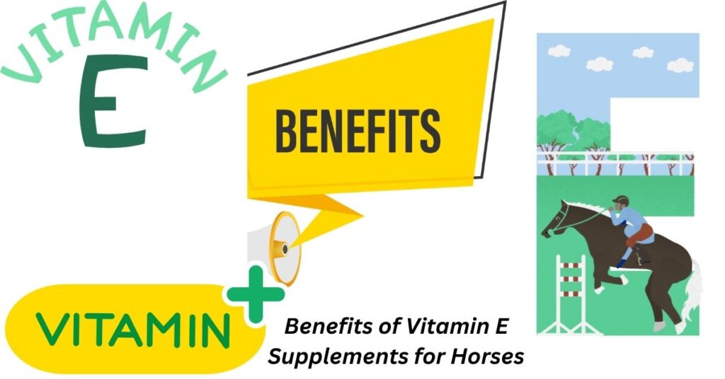 Vitamin E Supplements for Horses: