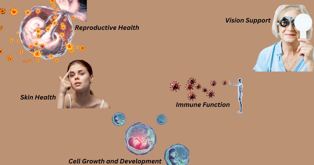 What Are the 5 Major Functions of Vitamin A? A Comprehensive Guide