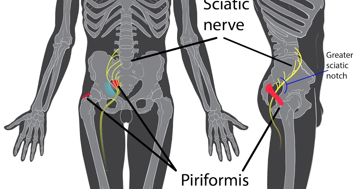 Which-Vitamins-Are-Effective-for-Sciatic-Nerve-Pain-Relief?